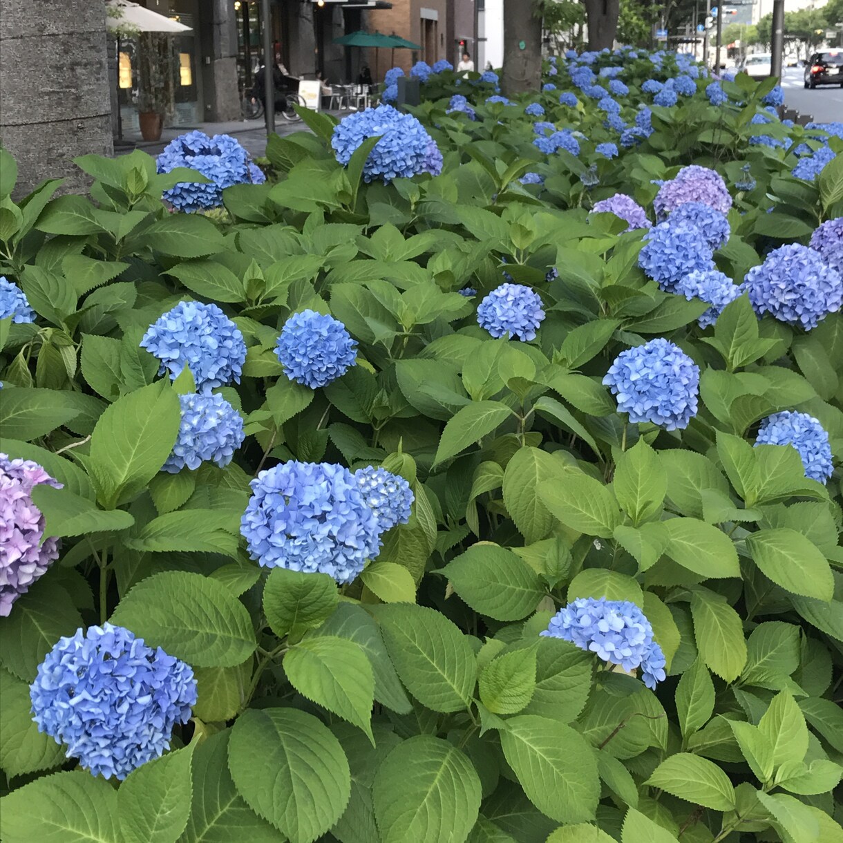 あなたの京都旅行のプラン作りをお手伝いします 京都旅行が初めての方&お久しぶりの方向け イメージ3