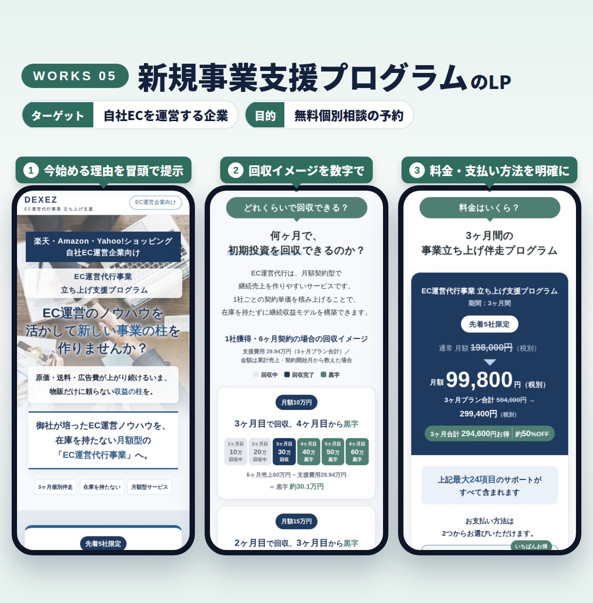 先着5名様限定！成果を意識したLPを作ります 構成案→初稿→修正3回で、広告・営業に使えるLPをお届け！ イメージ6
