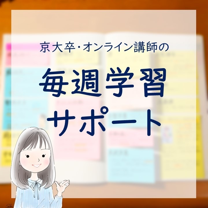 京大卒オンライン講師が1か月毎週学習サポートします 勉強法、スケジュール、全力サポートします！ イメージ1