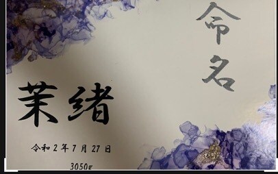 出産祝い 命名紙 お作りできます お好きな文字もお入れ出来ます。 イメージ2