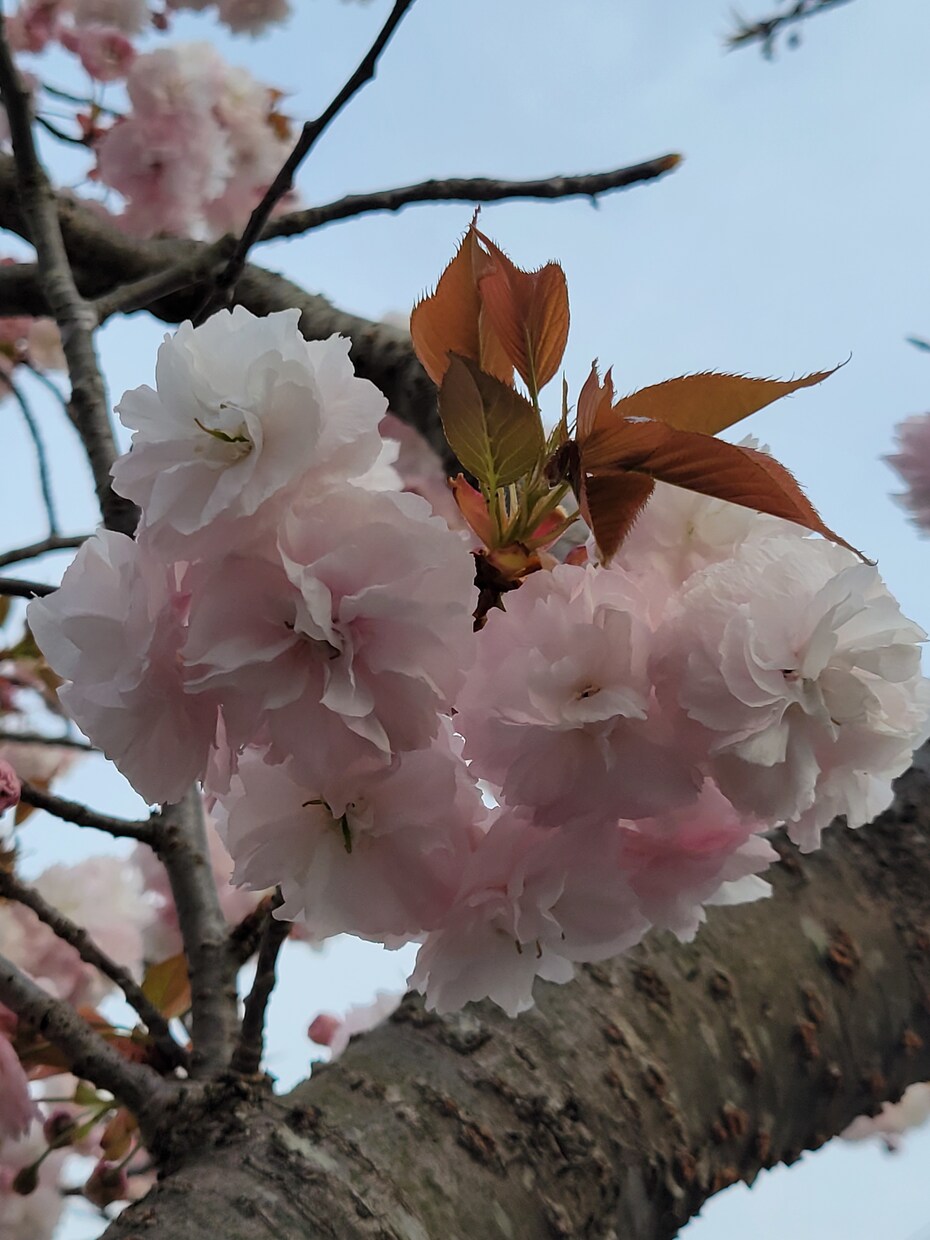 ゆっくりお話聴きます 心と身体が楽になるようにリラックスして話してください。 イメージ5