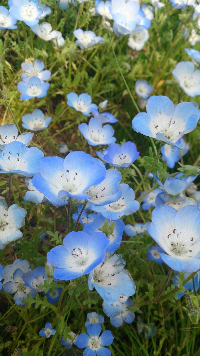 あなたのスキマ時間うめちゃいます ♡愚痴・のろけ・暇つぶし何でもOK♡気軽に話したい方ぜひ イメージ1