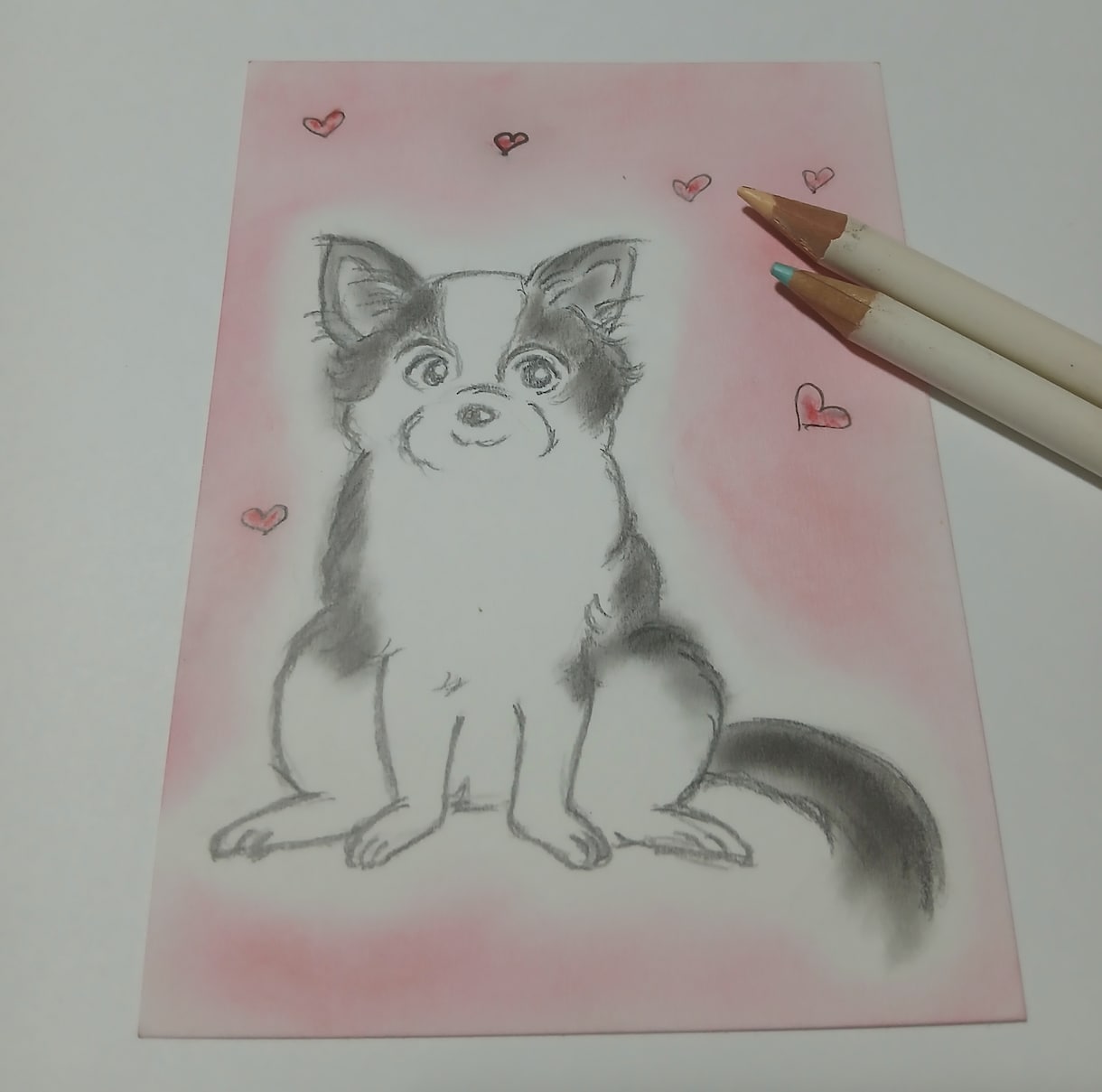 手描きで愛猫、愛犬などイラストを描いてます 皆さまの家族愛犬や愛猫などのイラストを描きます。 イメージ1