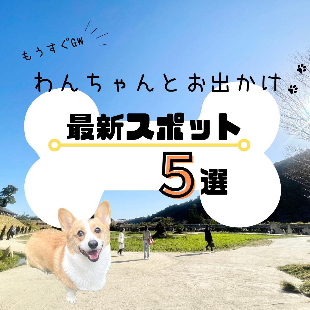 Instagram用　広告投稿画像作成いたします イベントや商品の宣伝にも❁フォロワー・集客アップ！ イメージ3