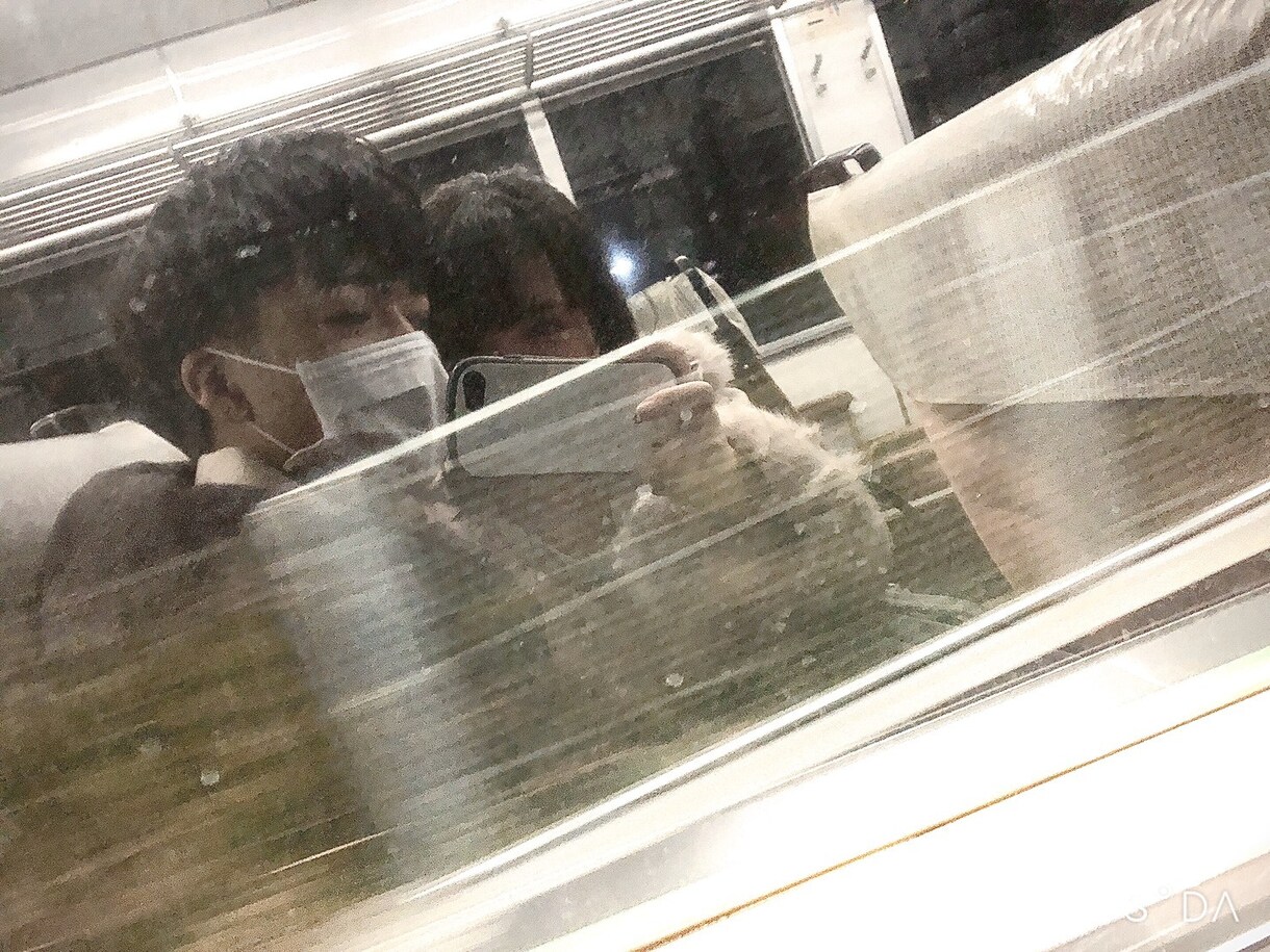 写真をイラストに書きかえます 写真であれば手描きでイラスト変更させていただきます！ イメージ1