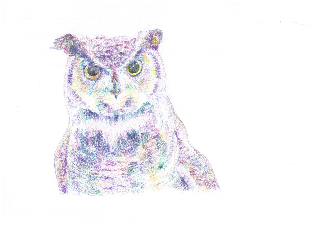 あなたの大切な人、ペットを絵画にします 色鉛筆画　ポストカードサイズです。心を込めて制作致します。 イメージ7