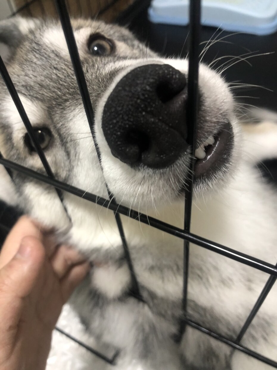 今この場で疲れている方、心のマッサージをします 心のコリをほぐしませんか？今日、明日少しでも心身を楽に イメージ1