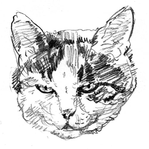 ペットの肖像画描きます（鉛筆画） イメージ2