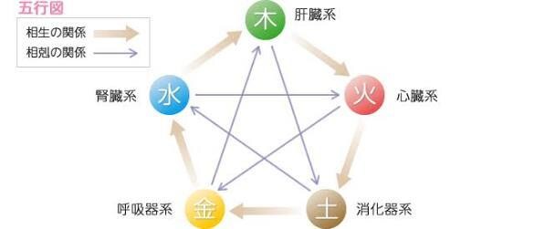 陰陽五行学、心理学から様々なアドバイスをします ご自身や周りの人の体質や性格を知り、人生を変えたい方に！！ イメージ2