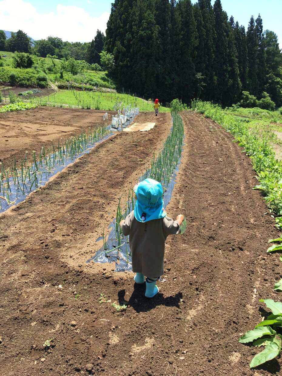 保育士試験アドバイスします 1年で合格できた勉強法を伝授します。 イメージ1