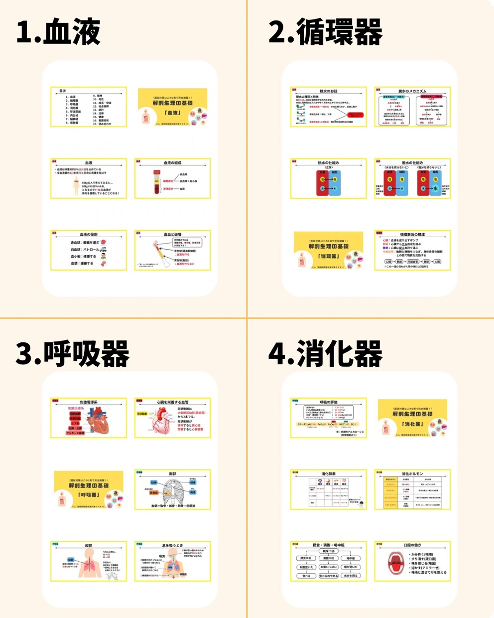 看護師国家試験 | 国試の要点のみを総復習できます 解剖生理の基礎から統計学まで看護師国家試験の範囲を完全網羅！ イメージ6