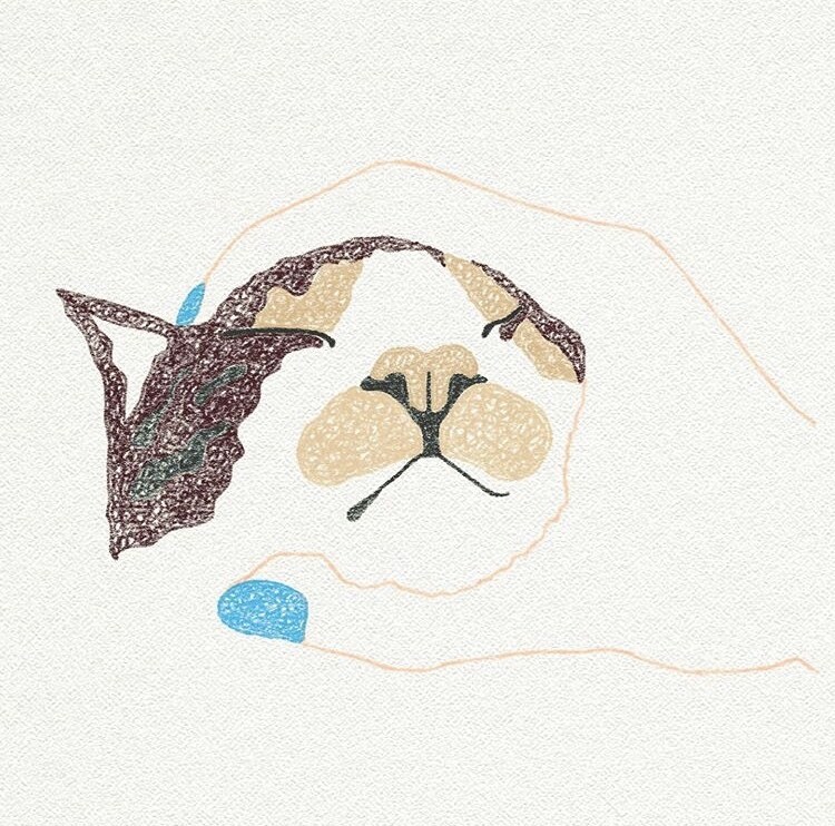 ペットのイラスト描きます ゆるい感じのすてきなイラスト描いて欲しい方。 イメージ8