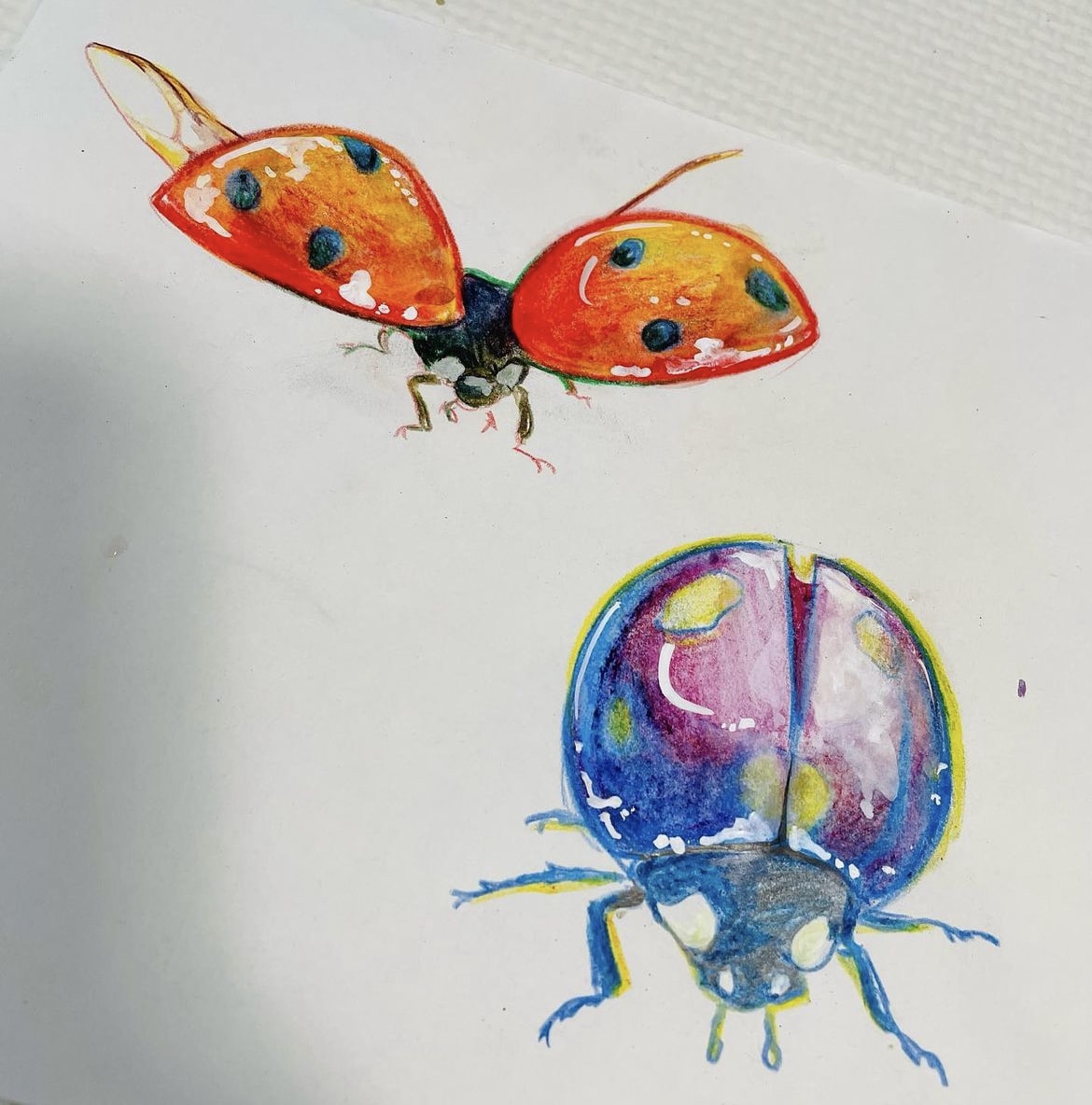 水彩画の描き方、技法教えます 武蔵野美術大学卒業、現役イラストレーターがアドバイス イメージ5