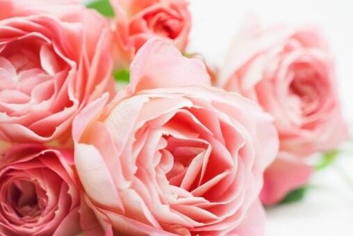 あなたの悩みを受け止めます 些細なことでもOK。どんな悩みでも、吐き出して。 イメージ4