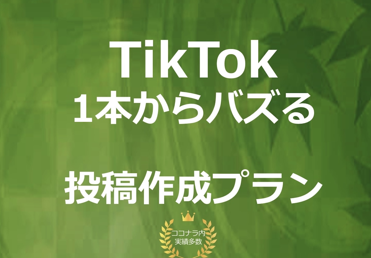 バズる【TikTok】動画編集行います バズり専門のTikTokチームが動画編集行います！ イメージ1