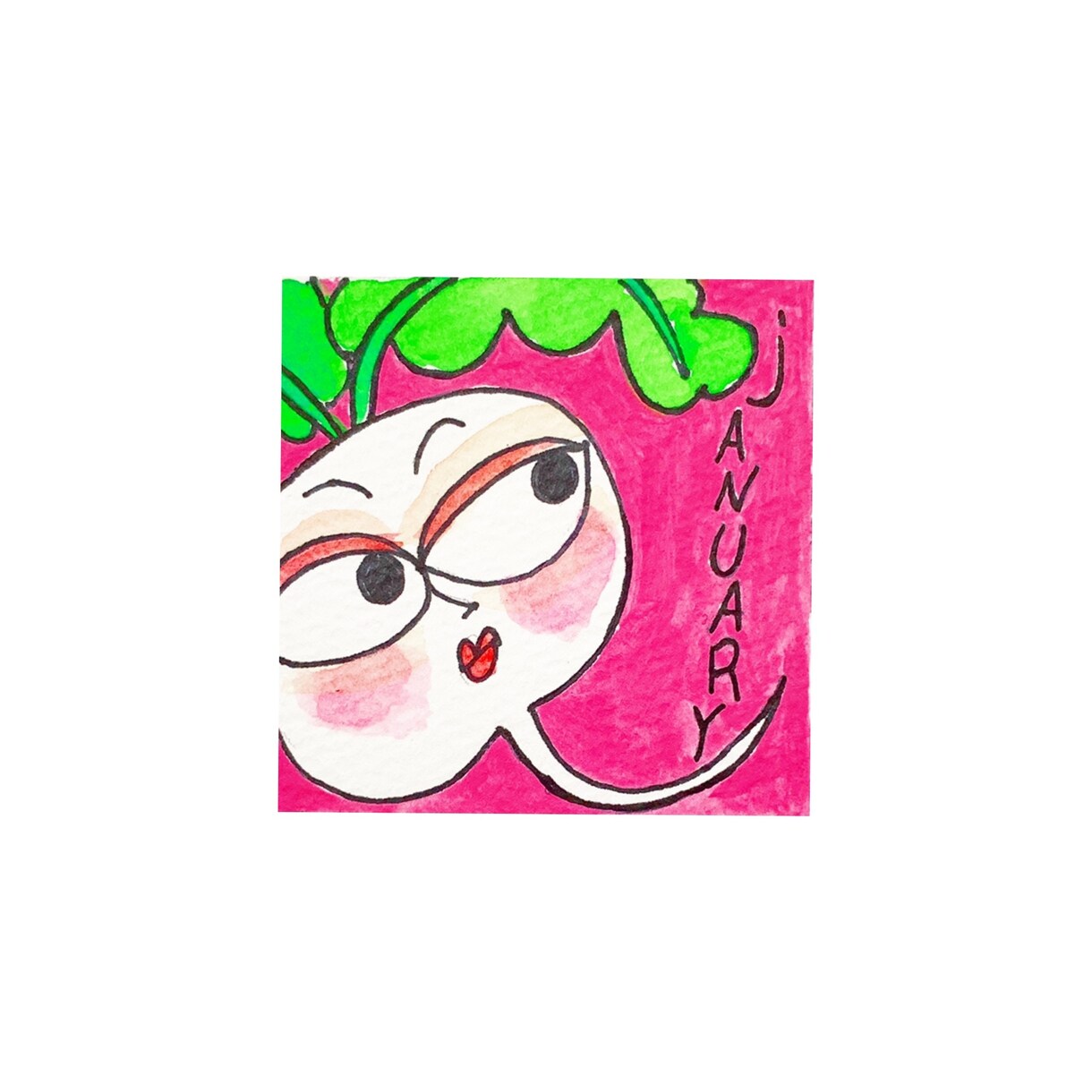 野菜ソムリエが野菜イラスト描きます 経歴　NHKきょうの料理テキスト挿絵など。 イメージ1