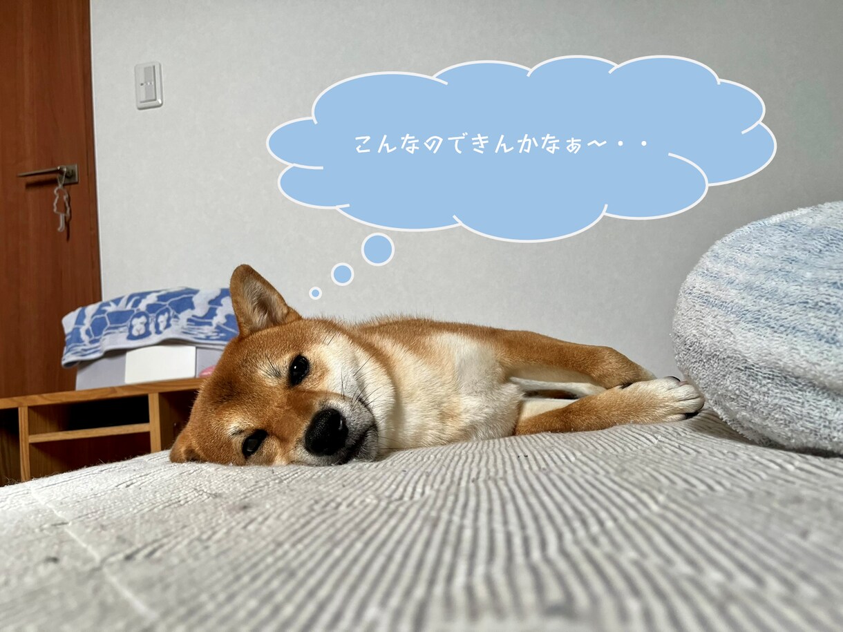 紙や写真の「面倒な手作業」をまとめて自動化します その転記作業、プログラムに任せてみませんか？ イメージ1
