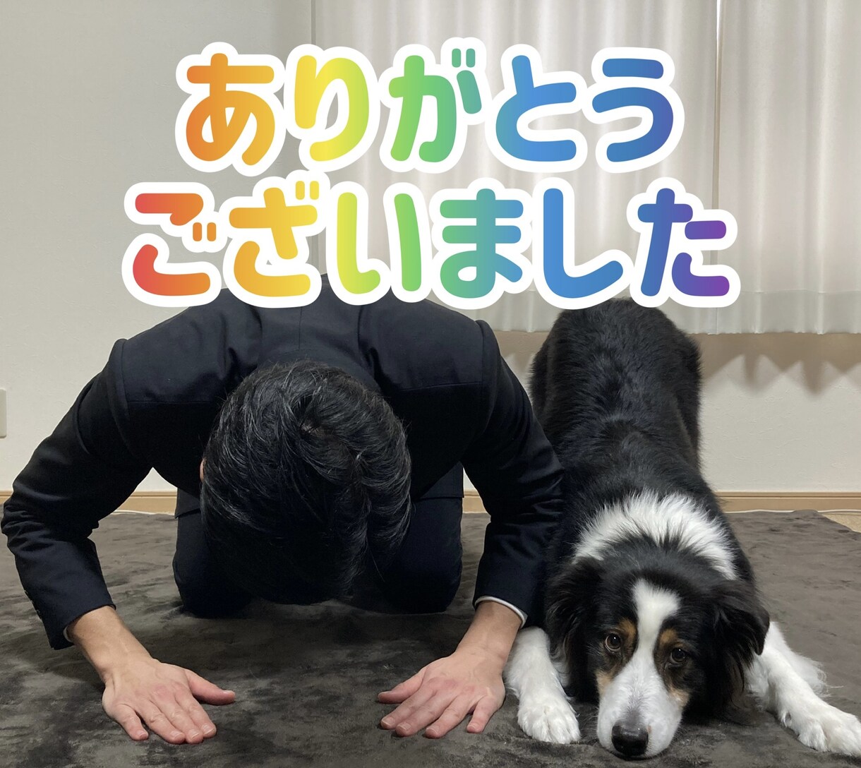 家庭犬の「しつけ」にお応えします 大切な事は「とにかく楽しく！」現役インストラクターが応えます イメージ6