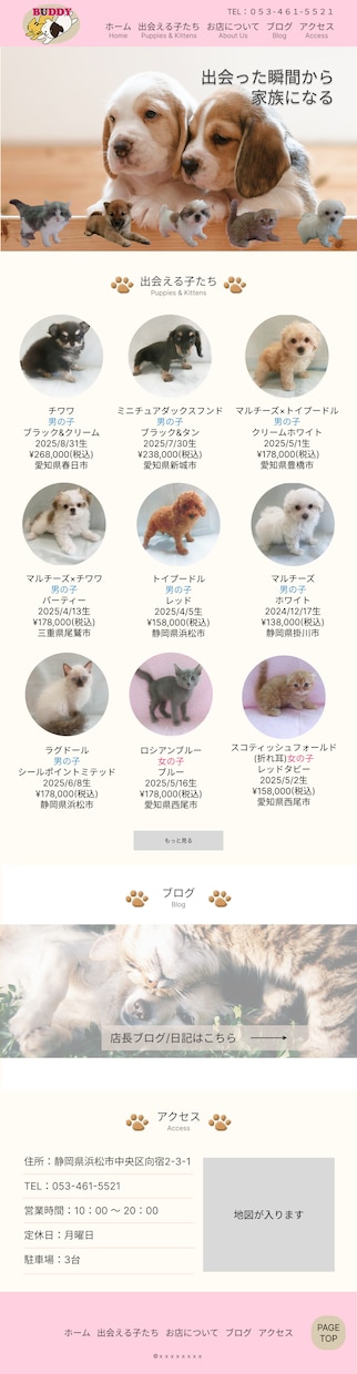 WordPressでHP制作いたします はじめてのHPづくりも、いちから丁寧にサポートします。 イメージ2