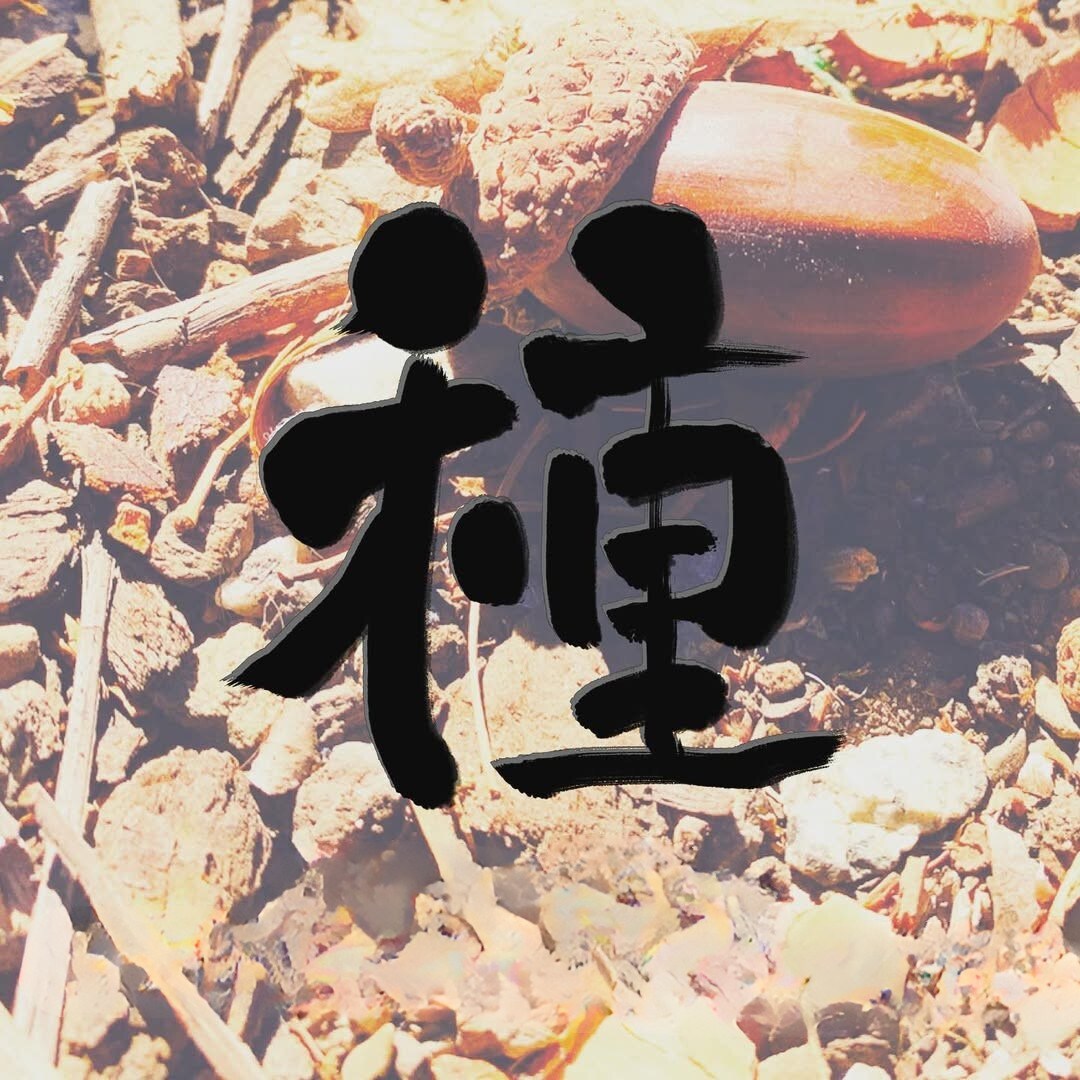 命名書・筆文字ロゴ・屋号を筆文字で書きます さまざまなタイプの文字を想いを丁寧に表現します イメージ3