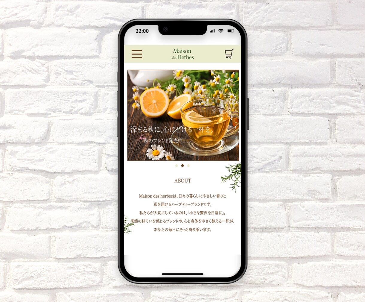 世界観を形にするWEBサイトデザイン作成します 世界観×機能性のWEBサイトデザイン イメージ2