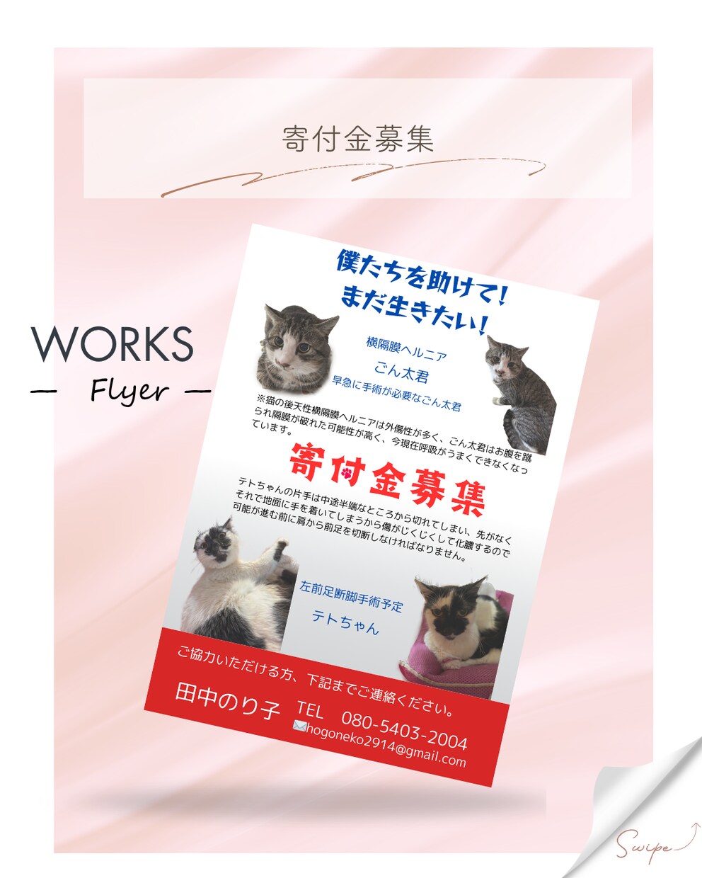 地域密着！保護猫イベントのチラシお作りします “会いに行きたい”と思ってもらえるデザインを。 イメージ7