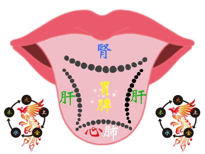 歯にまつわるあらゆるお悩み歯科医師が解決します 歯科治療したくないオーガニック歯科医師です。 イメージ3