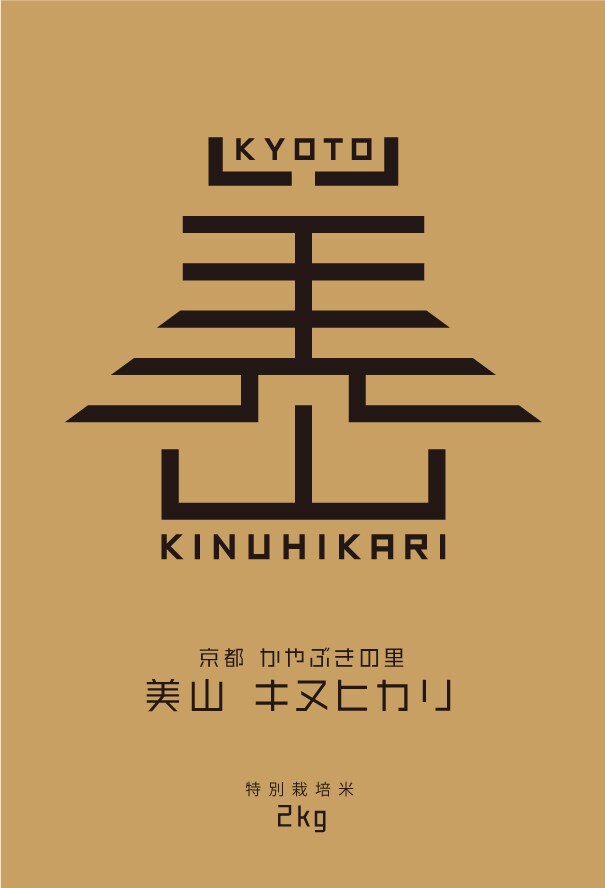 目立つ！伝わる！プロが高品質なチラシを制作します はじめての方でも安心！丁寧な進行で効果的なデザインを提案！ イメージ4