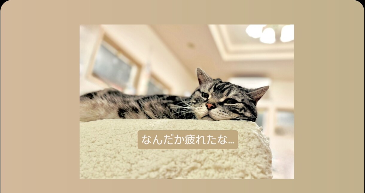 チャットであなたの心を癒します 精神科ナースとお話したい方！悩み相談/話し相手/恋愛も♡ イメージ3
