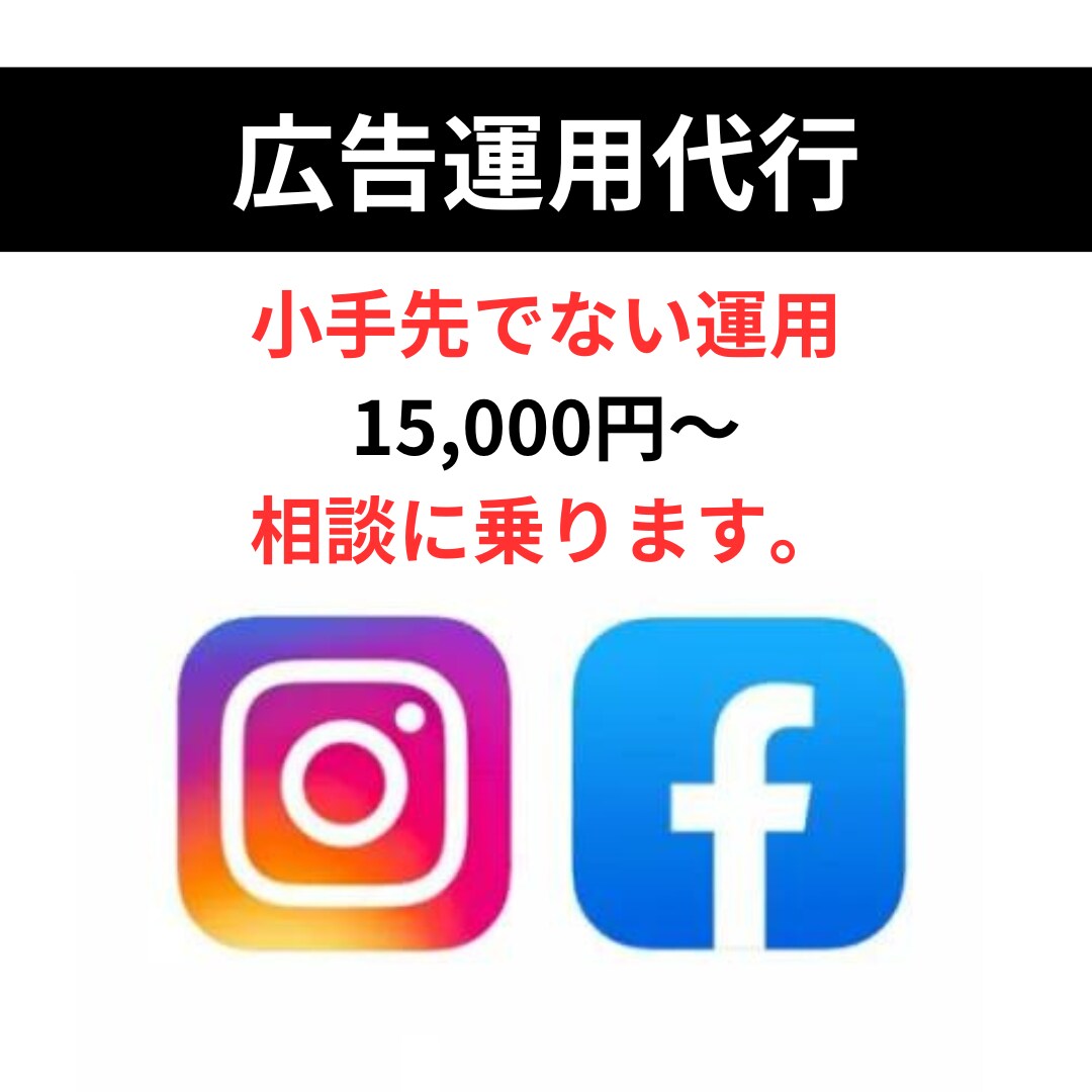 マーケ歴12年FB、インスタ広告の運用代行します 【お試し価格】FB、インスタ広告代行　実績｜数十億円経験 イメージ1