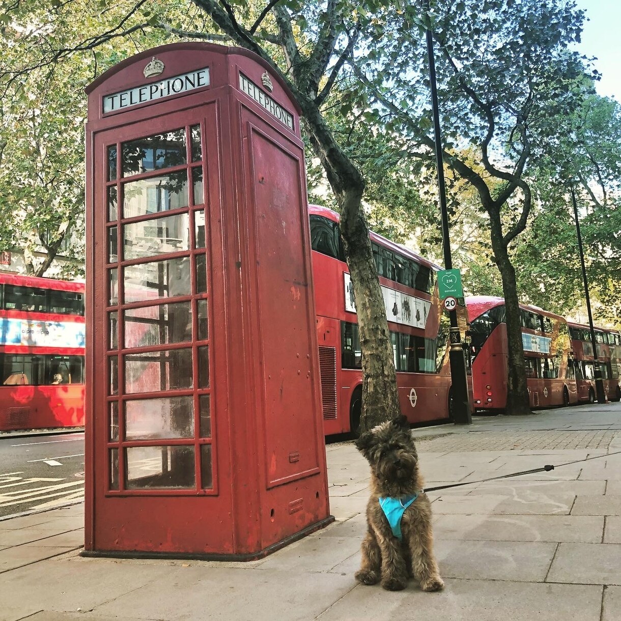 イギリスワーホリや渡英についての相談のります イギリスワーホリについての相談に現役生が回答します イメージ1
