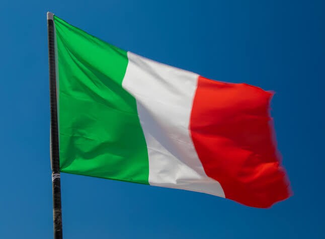 イタリア語の文章を和訳します 25円/1単語　自然に翻訳します イメージ1