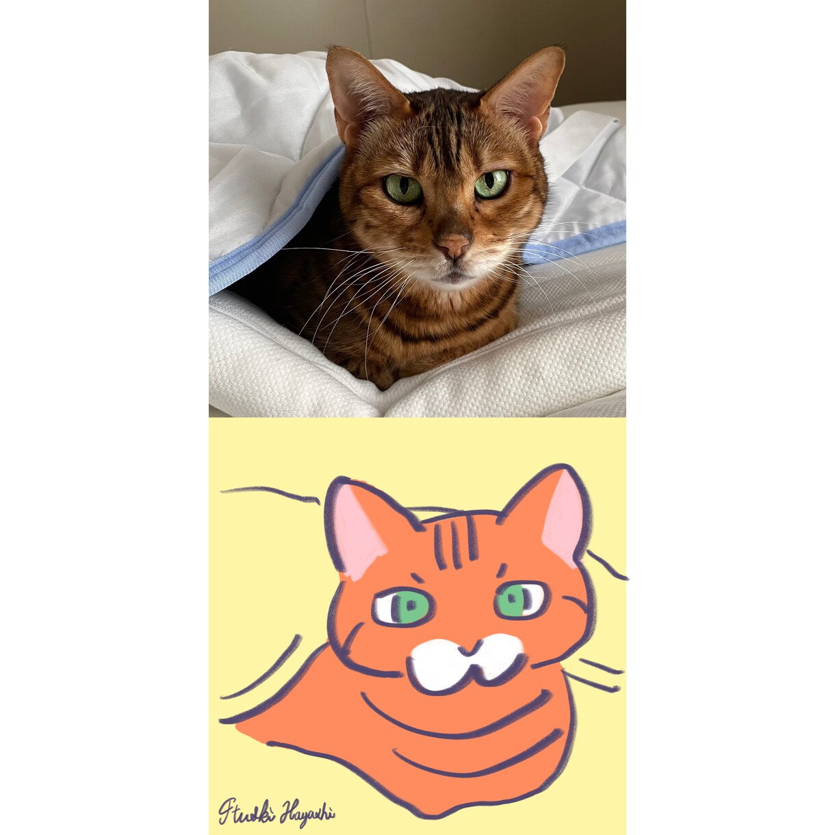 猫ちゃんのイラスト描きます SNSのアイコンやうちの子のイラストが欲しい方向け イメージ5