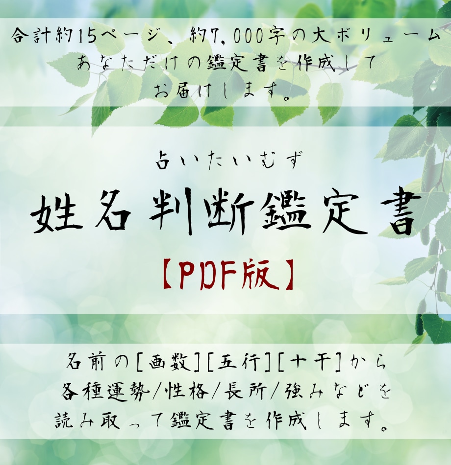 占いたいむず鑑定室 姓名判断鑑定書【PDF版】ます 合計15ページ