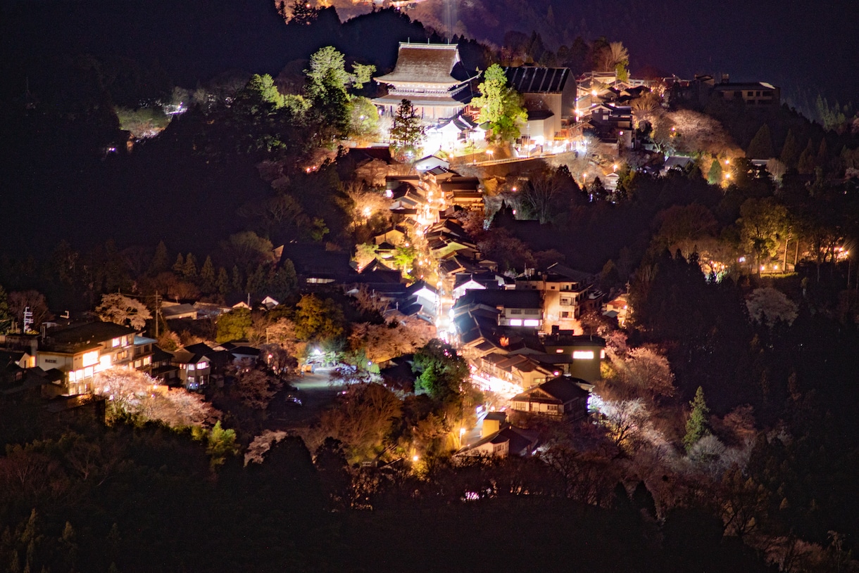プロクリエイターのクオリティー体験しませんか？ます 写真は枚数【無制限】の撮り放題プラン イメージ3