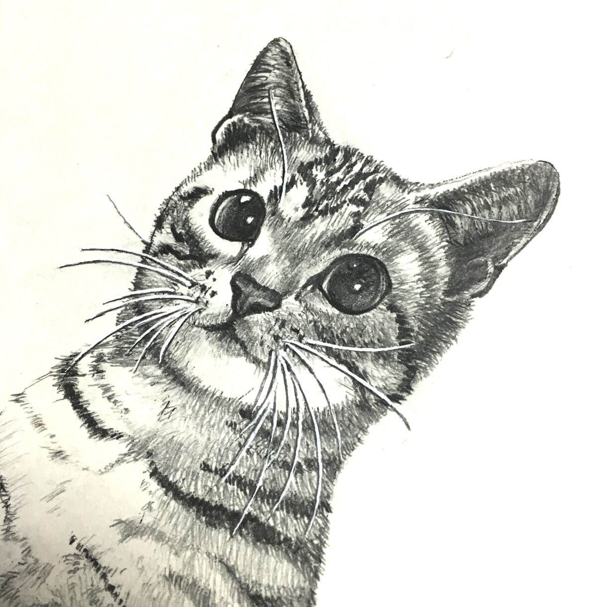 ペットのスケッチ描きます 思い出＆記憶を魅力的なスケッチにしませんか？　手描き版 イメージ2