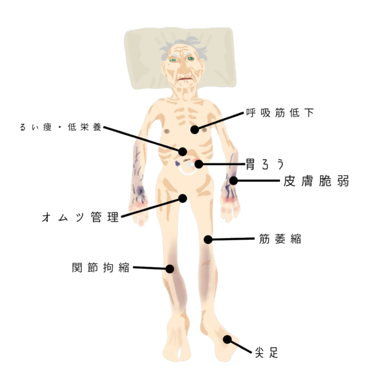 勉強会で使える医療イラスト作成しますます 勉強会資料・スライドにそのまま使える｜背景透過PNG納品 イメージ2