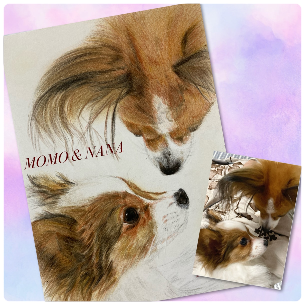 パステルと色鉛筆で犬の似顔絵を描きます 写真のようにリアルで、写真よりも優しい仕上がりです イメージ1