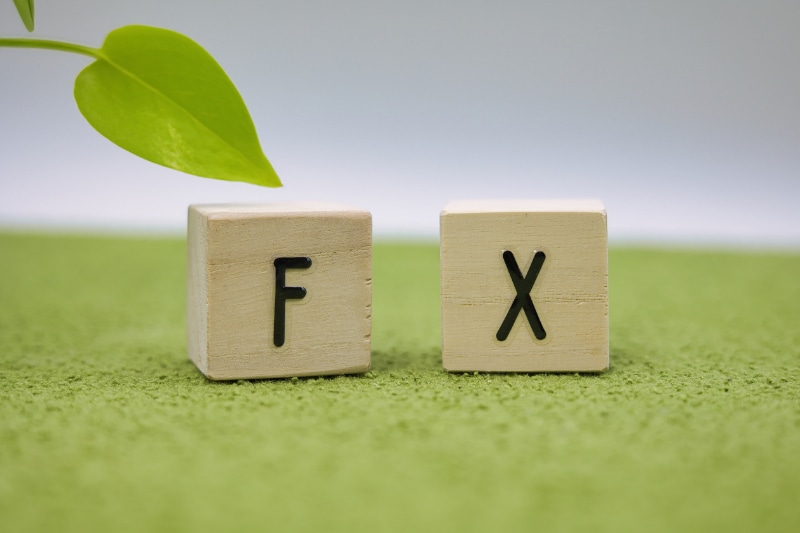 公務員も辞めれたＦＸ手法を教えます ゆったり、ストレスフリー運用。兼業可能な手法です。 イメージ6