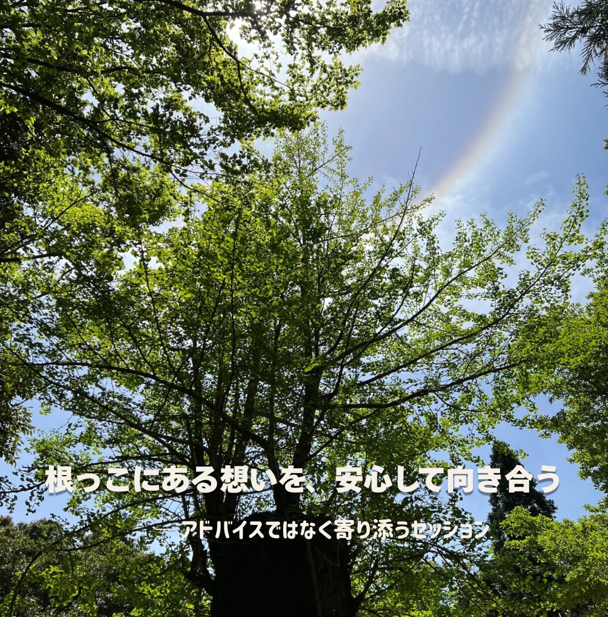 禅タロットで【不登校ママ】の心を軽くします ♡経験者だからこそ、あなたにそっと寄り添います♡ イメージ3