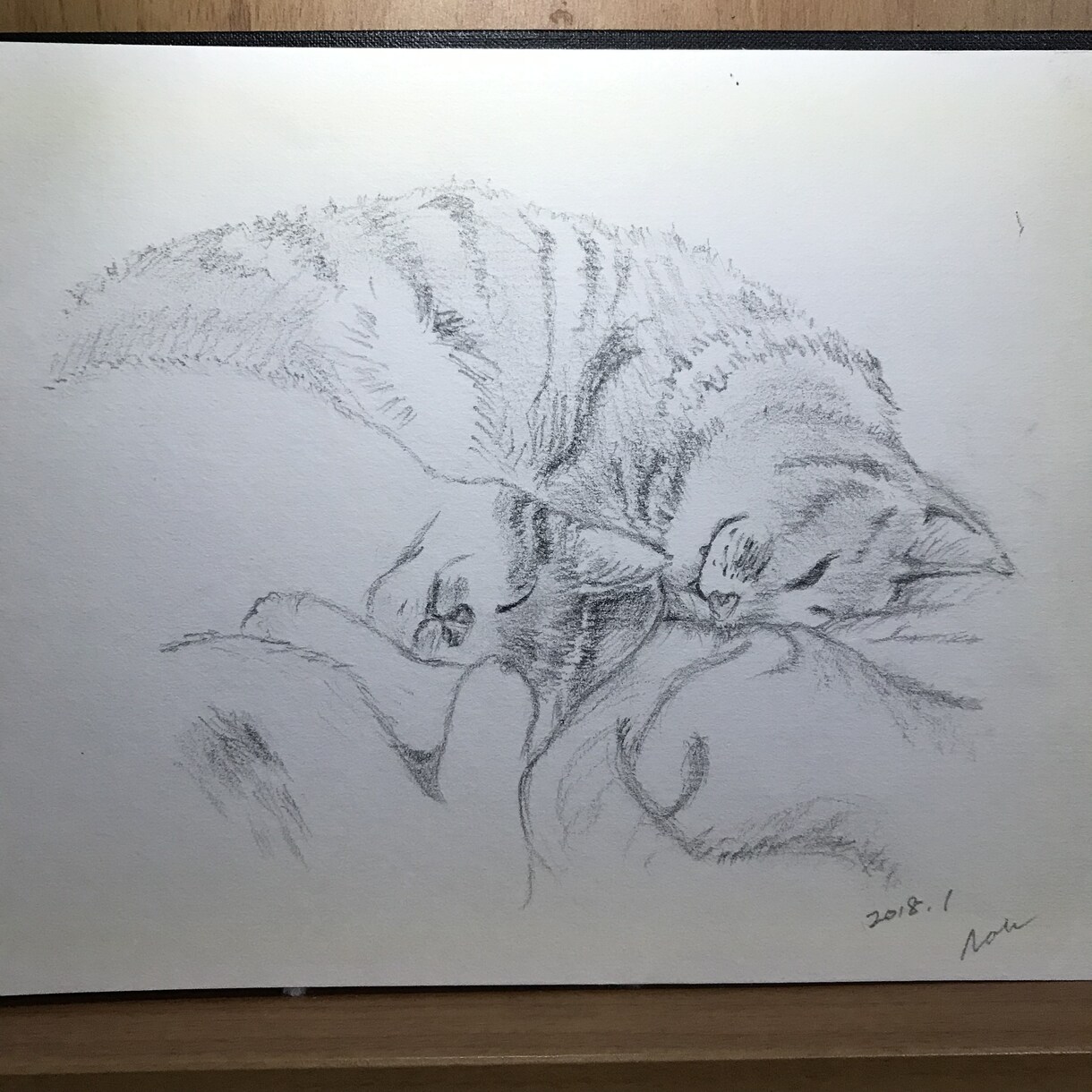 モノクロ　あなたの家族のネコさん、描きます 性格や個性が現れるよう、モノクロの静の雰囲気が好みの方に。 イメージ3