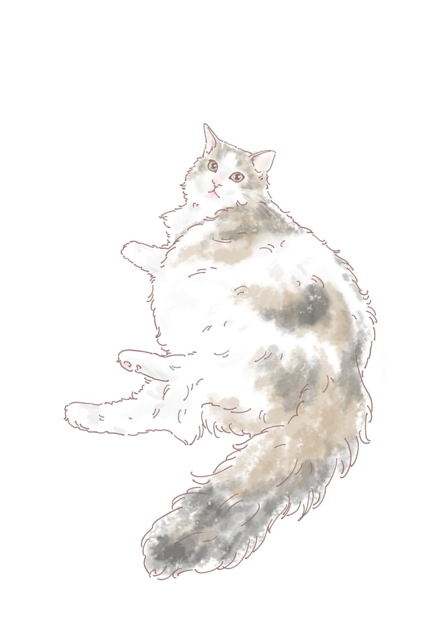 温かく優しいタッチでペットのイラストお描きします データお渡し⭐︎アイコンやグッズ制作にもお使いいただけます♪ イメージ4