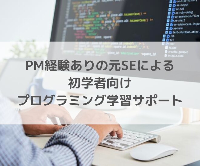 初学者のプログラミング学習を1ヶ月間手伝います プロジェクトマネージャ経験ありの元SEに1ヶ月間質問し放題！ イメージ1