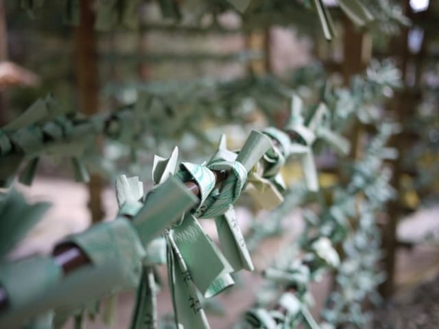 引き寄せ力の磨き方＊愛しの彼を振り向かせます 『引き寄せ』を身に付けるための寄り添いパーソナルトレーニング イメージ2
