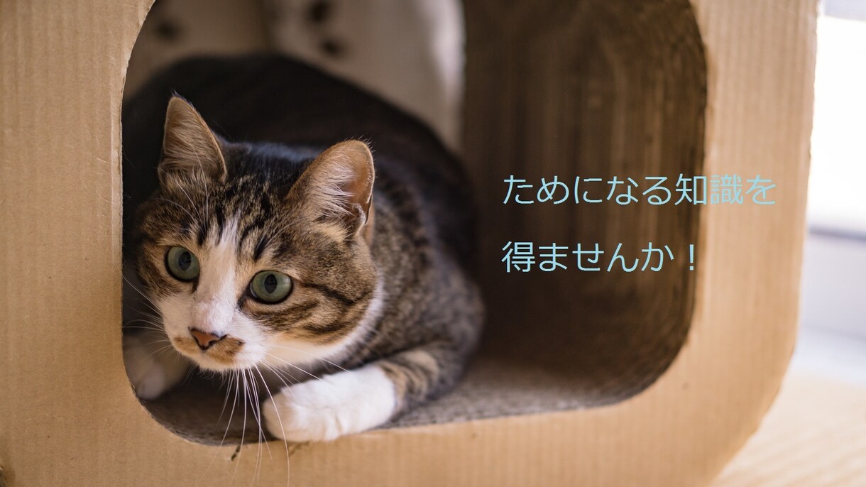 初対面の相手の内面を見抜き仲良くなる方法教えます 営業職や人と関わることが多い人にオススメです！ イメージ1
