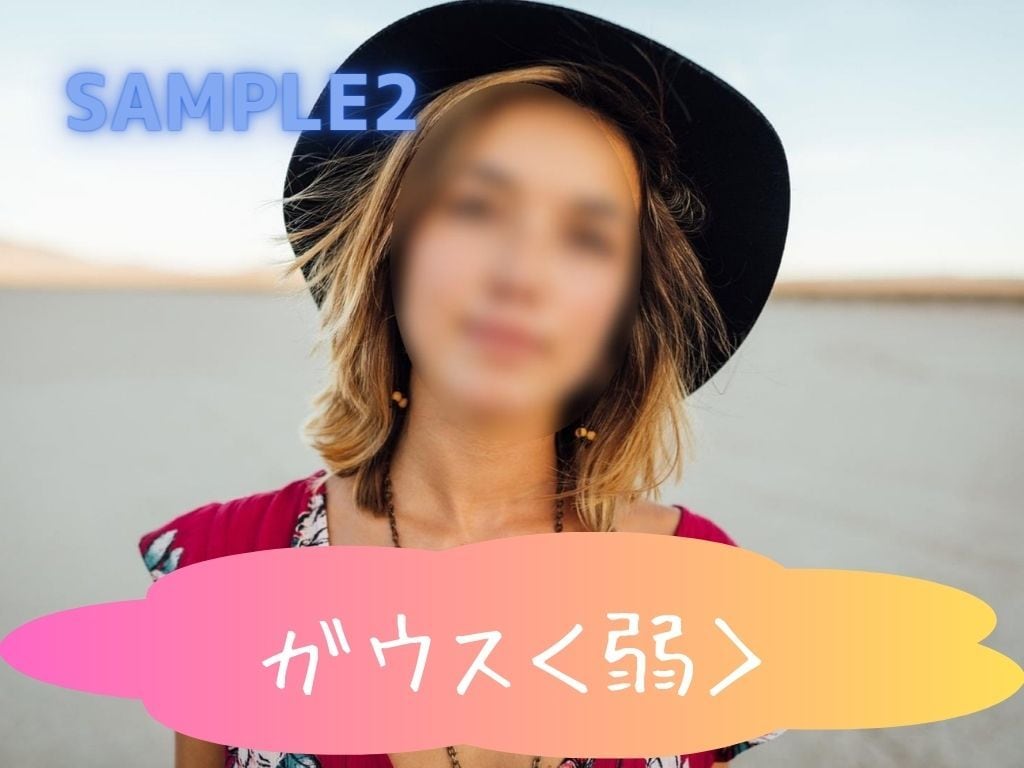 プライバシー保護に!!モザイク★ぼかし加工承ります お好みのモザイク濃度に調整します イメージ3