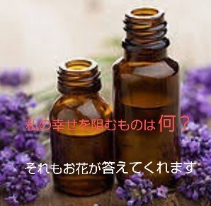 頑張らなくても人生は変えられる。エッセンス選びます 充分頑張ってきたあなただから。飲むだけで理想の自分になる方法 イメージ2