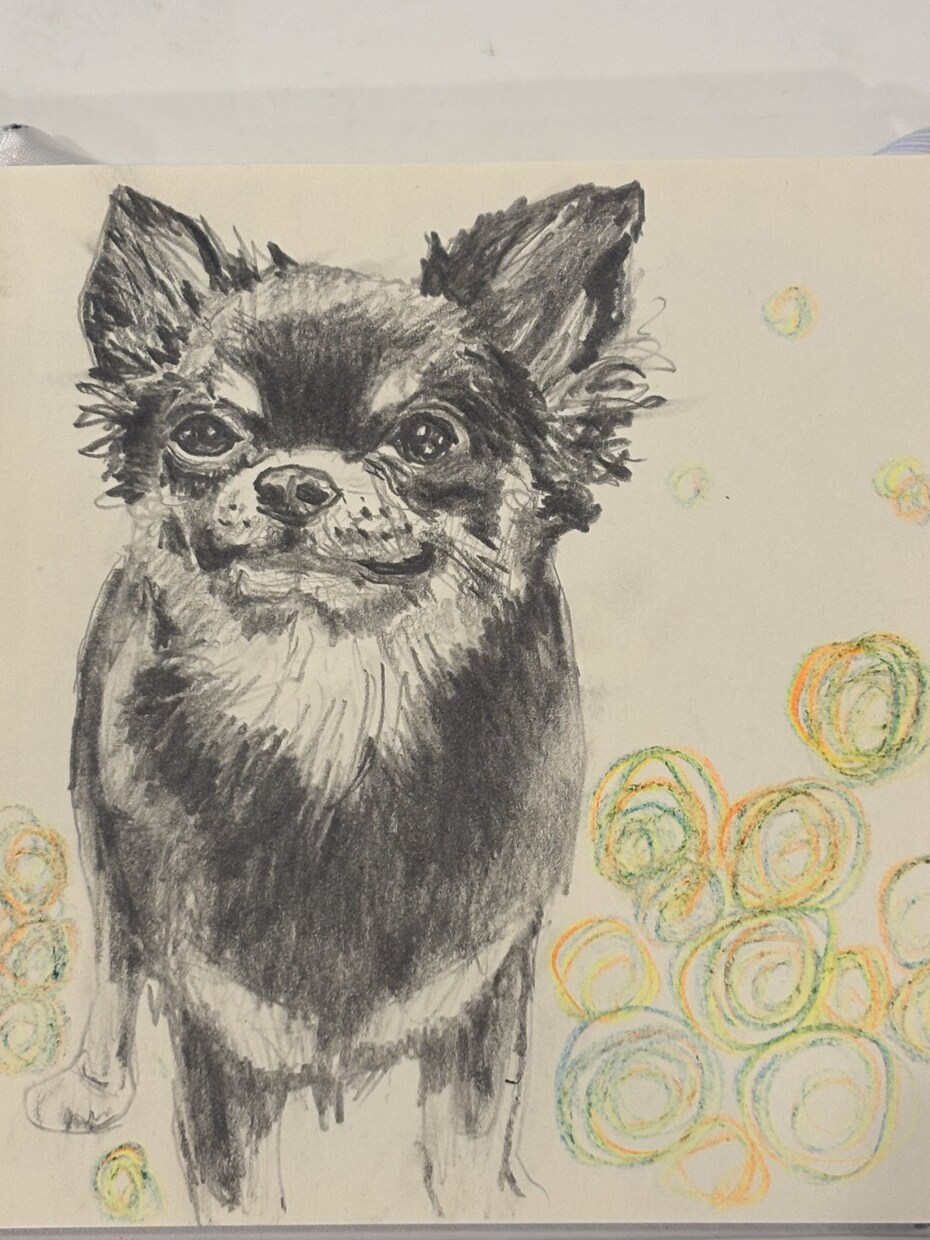 ペットの似顔絵描きます 愛ペットの似顔絵いかがですか？原画お送ります！ イメージ9