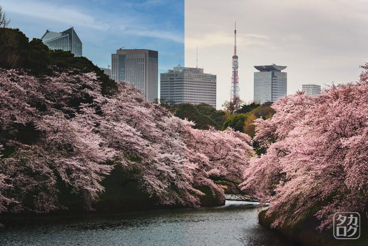 最短1日！曇り空も晴れ空に！！画像編集受け承ります 画像の切り抜き、合成などを最短翌日までに完成させます！ イメージ1