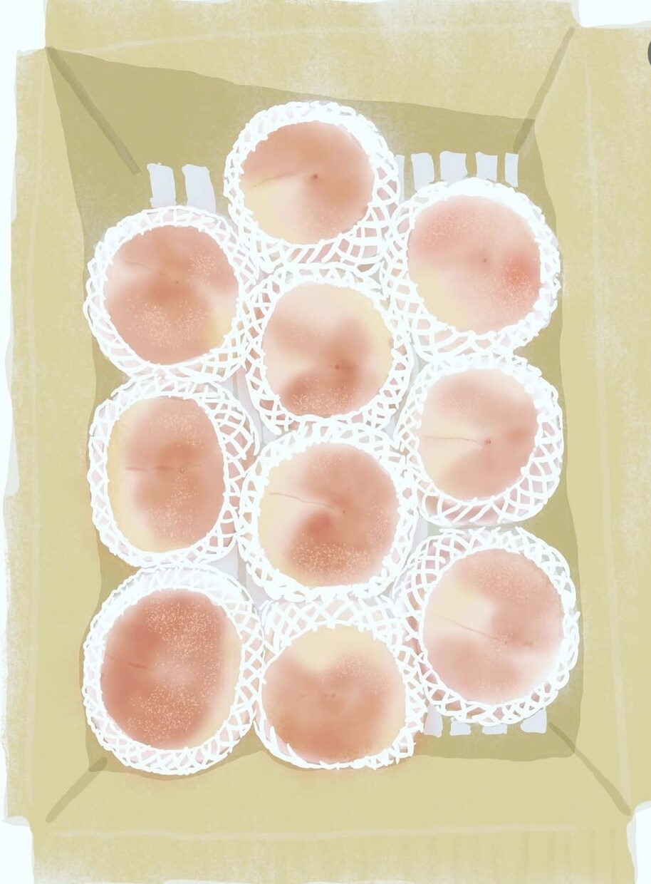 シズル感のある食べ物を描きます お写真をもとにリアルで温かみのあるイラストを作成します☆ イメージ6